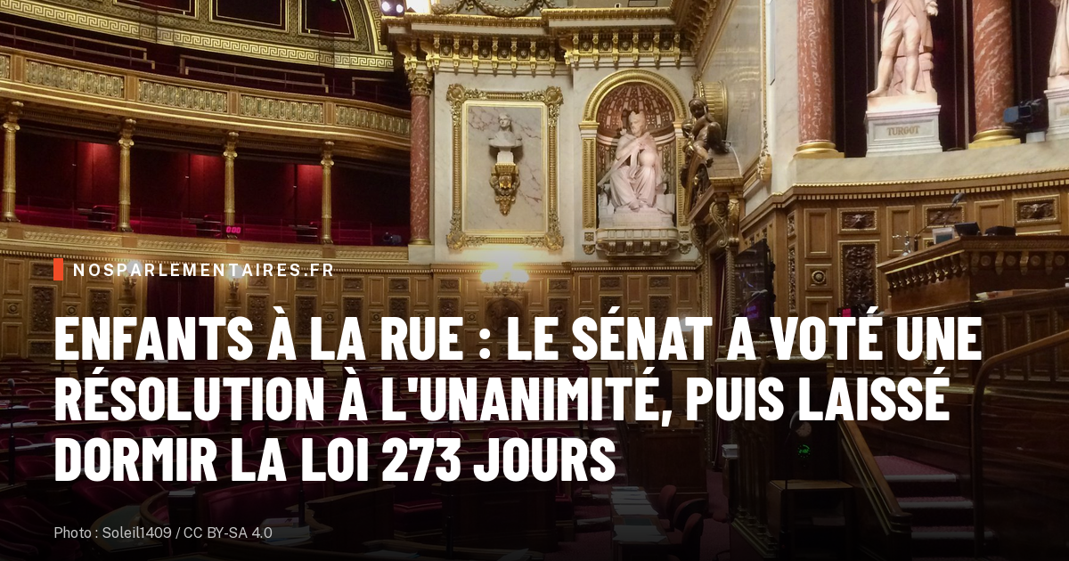 Enfants à la rue : le Sénat a voté une résolution à l'unanimité, puis laissé dormir la loi 273 jours