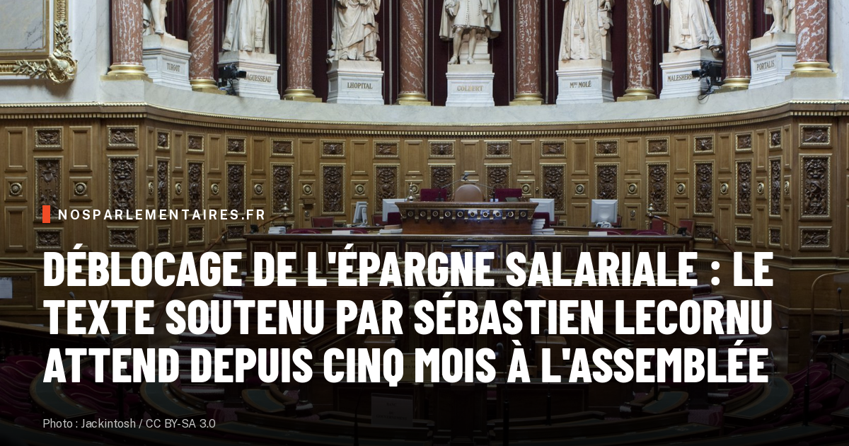 Déblocage de l'épargne salariale : le texte soutenu par Sébastien Lecornu attend depuis cinq mois à l'Assemblée