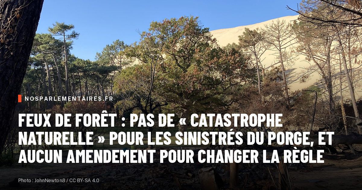 Feux de forêt : pas de « catastrophe naturelle » pour les sinistrés du Porge, et aucun amendement pour changer la règle