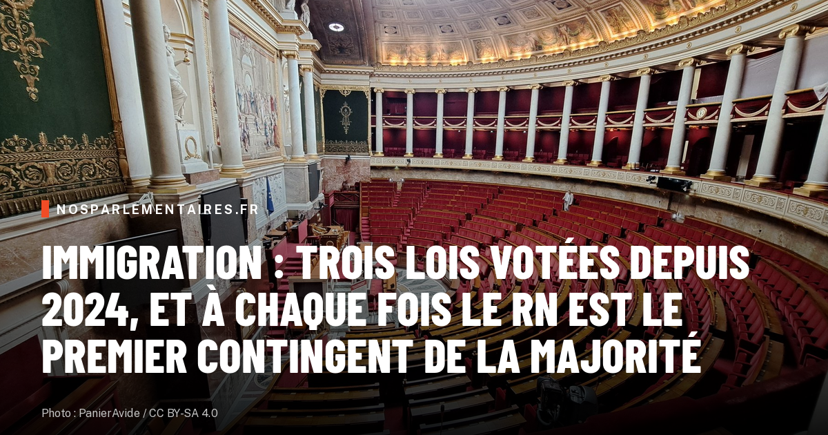 Immigration : trois lois votées depuis 2024, et à chaque fois le RN est le premier contingent de la majorité