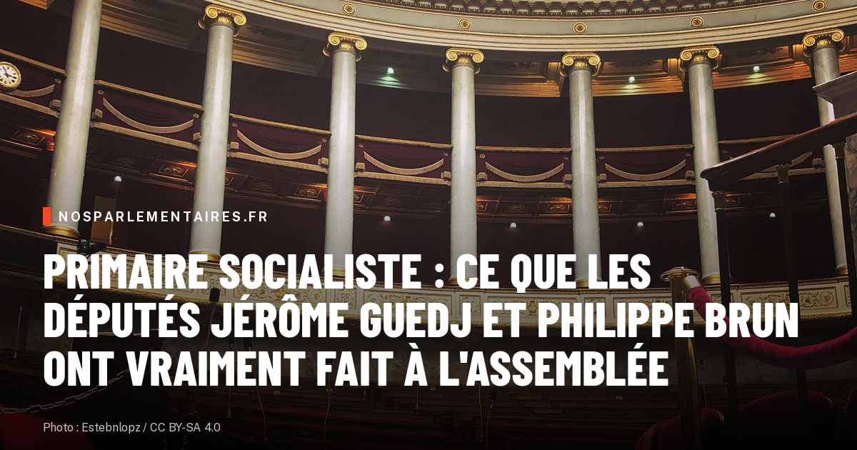 Primaire socialiste : ce que les députés Jérôme Guedj et Philippe Brun ont vraiment fait à l'Assemblée