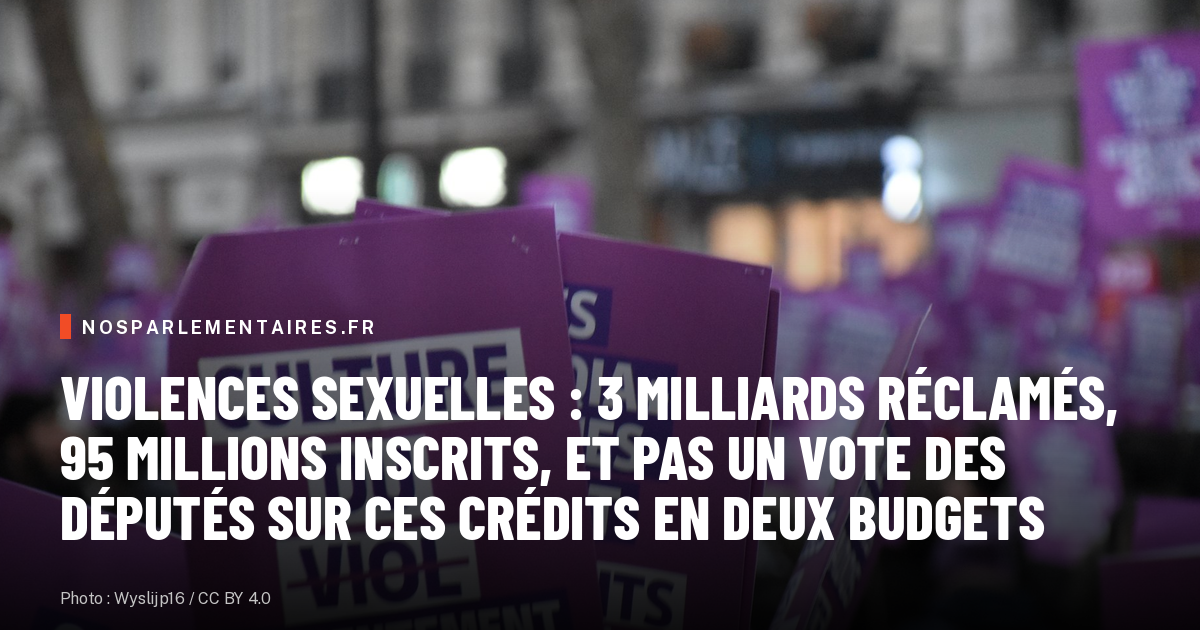 Violences sexuelles : 3 milliards réclamés, 95 millions inscrits, et pas un vote des députés sur ces crédits en deux budgets